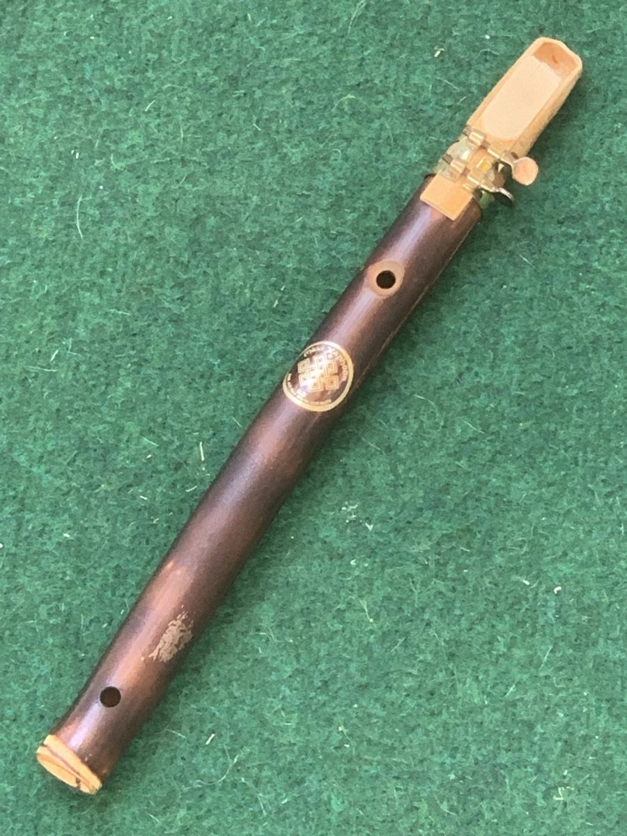 Musikinstrumente: Maui Xaphoon „USA“ – Gebraucht aus Wangen b. Olten von Finolino28 1