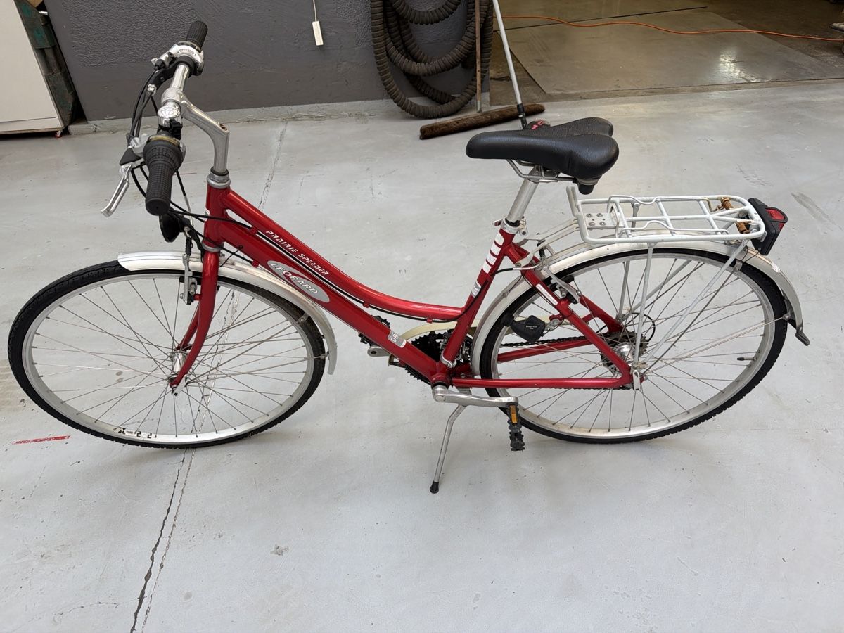 Biciclette: Damenvelo Leopard rot  – Usato da Basel venduto da WOLF_58