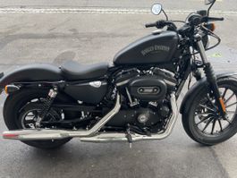 Harley-Davidson Iron 883, Top Zustand, frisch ab MFK!