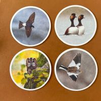 4 Trinkglasuntersetzer mit schönen Vogelmotiven