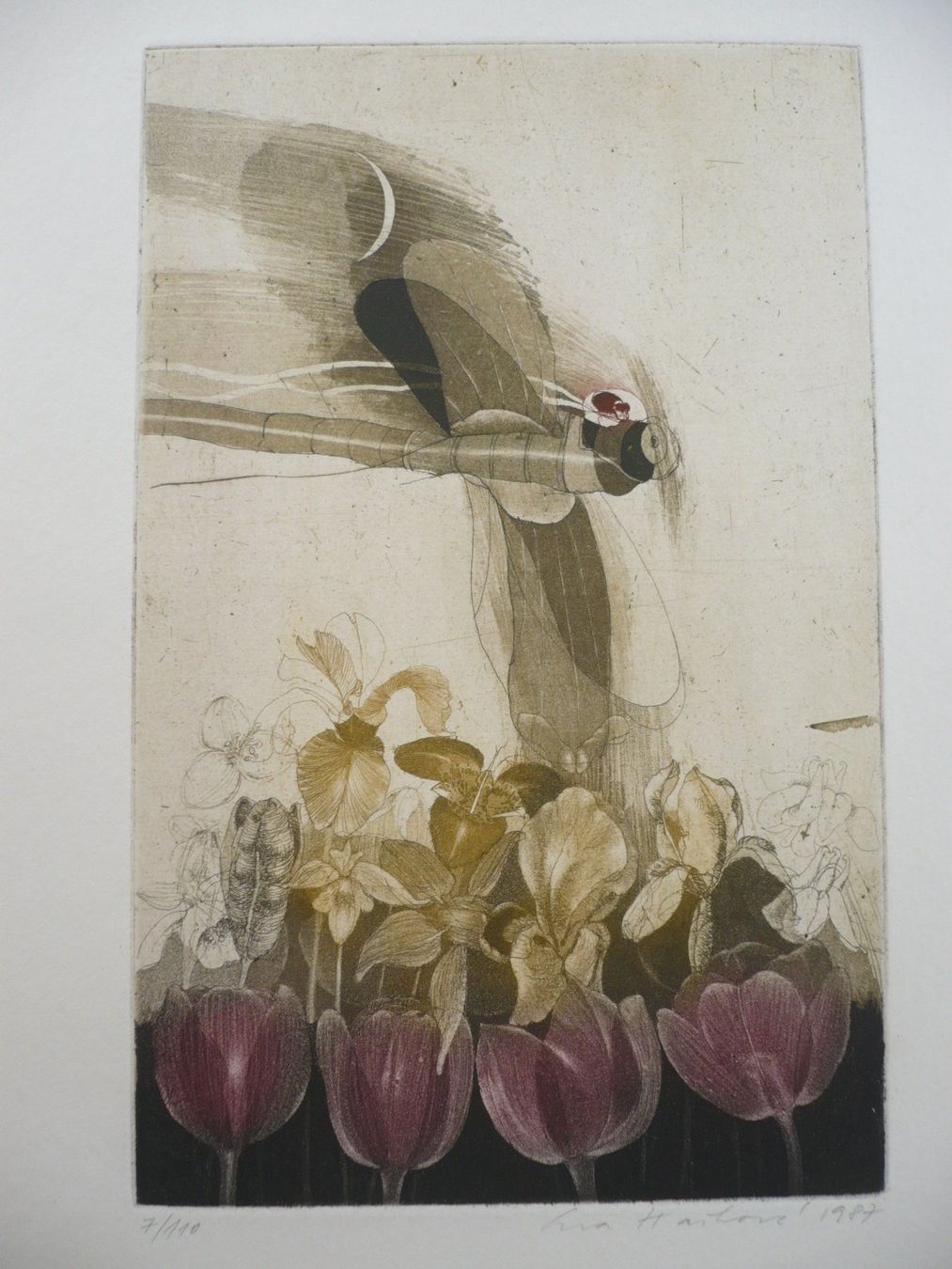 Grafiken & Lithographien: Eva Haskova 1987 Lithografie – Gebraucht aus Zürich von saltandpepper008 1