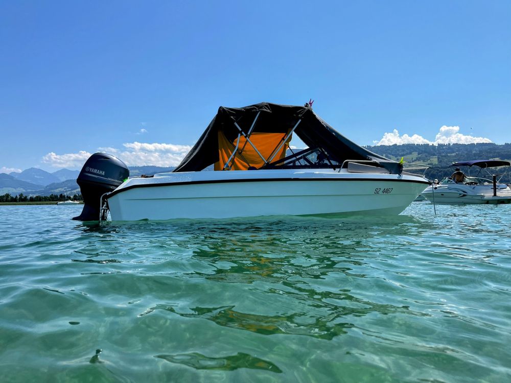 schnelles-motorboot-flipper-470-gt-mit-trailer-kaufen-auf-ricardo
