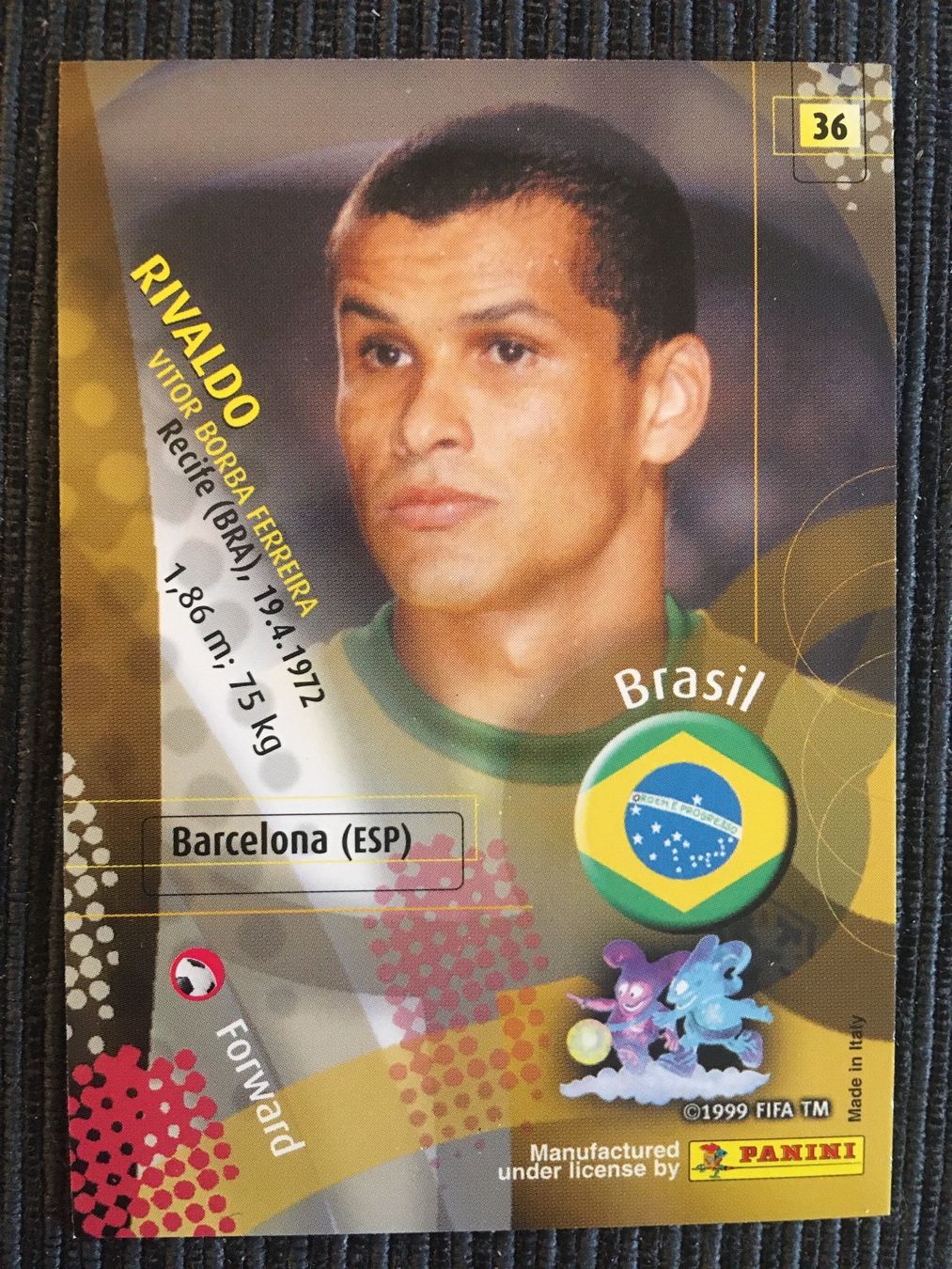 Panini Carte collezionabili: Panini Wm 2002 Rivaldo Brasilien Karten Mint – Nuovo (secondo la descrizione) da Wabern venduto da Collectfun 1