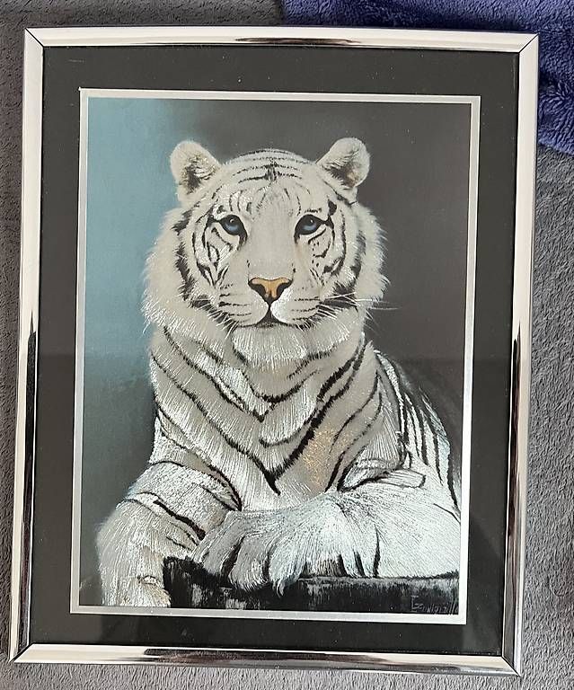 Foto & Immagini: 2 Tiger Bilder – Usato da Gossau SG venduto da Safri 1