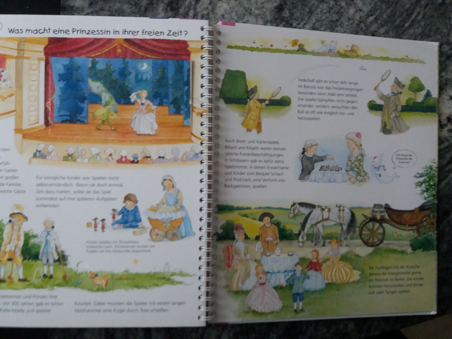 Libri: Alles über Prinzessinnen – Usato da Chur venduto da Nisami 6