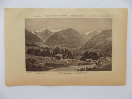Saanenmöser selten
