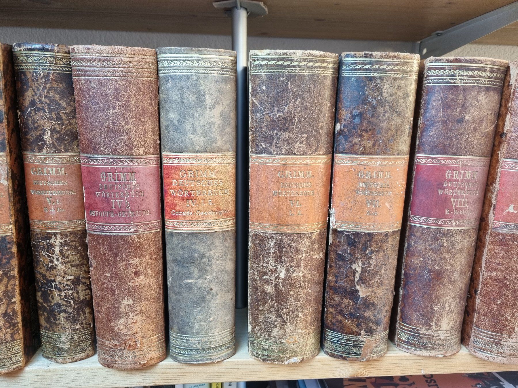 Libri: Originalausgabe Grimms Wörterbuch, 19 Bänder – Usato da Bern venduto da serainaviola 3