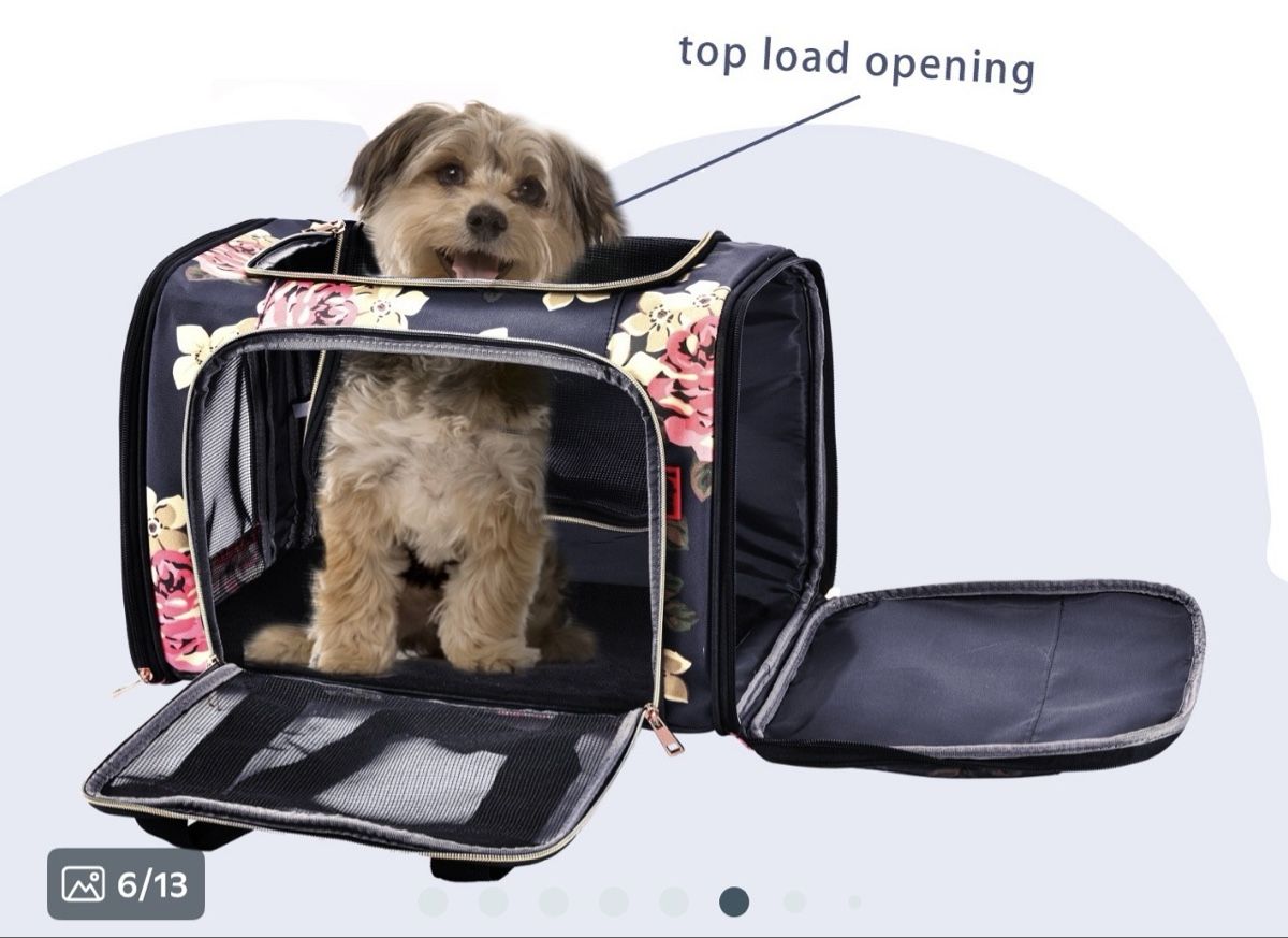 Taschen: Hundetragetasche COOLBELL – Neu (gemäss Beschreibung) aus Winkel von Wilderness 1