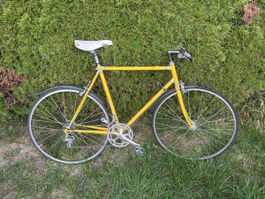 Velos: Herren Velo Gelb Gebraucht