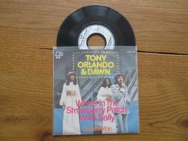 Tony Orlando & Dawn - Who's In The Strawberry Patch?
