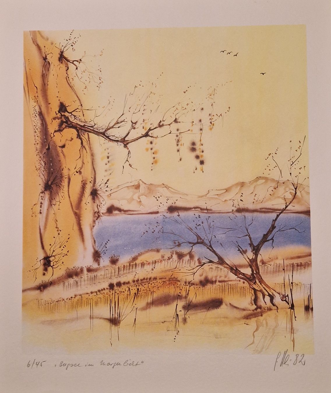 Grafica & Litografie: Lithographie "Bodensee im Morgenlicht" – Usato da Locarno venduto da ris_py7x