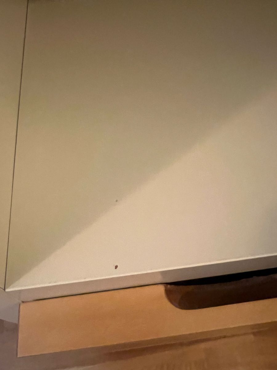 Ikea Armadi: Ikea Kinder Kleiderschrank – Usato da Eppenberg venduto da Peaches01 4