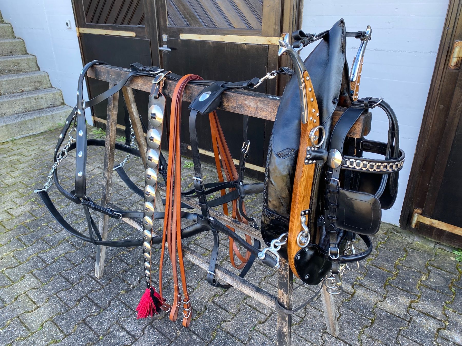 Carrozze: schönes Bündnergeschirr – Usato da Feldbach venduto da Fea1 5
