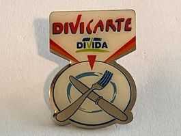 1 Pin Divida Divicarte