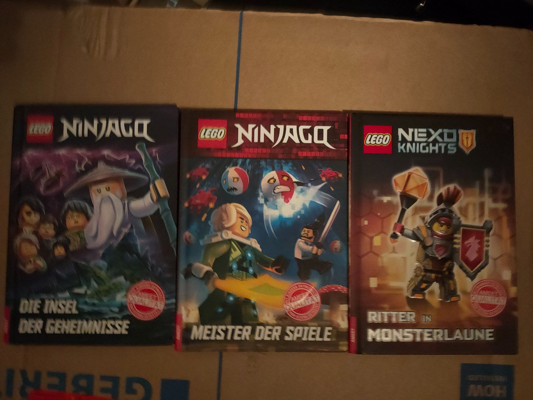 Livres: Ninjago Bücher – D'occasion à Jona par Sydney304