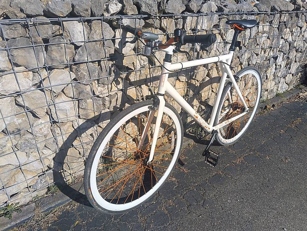 Biciclette: Single Speed GT  – Usato da Uetendorf venduto da hof_2rmq 4