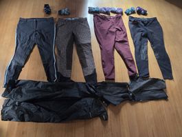 Reithosen Damen 4er Set Marke Horka Fouganza gebraucht