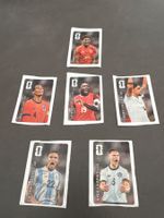 Panini Cola Sticker 2026 6Stück