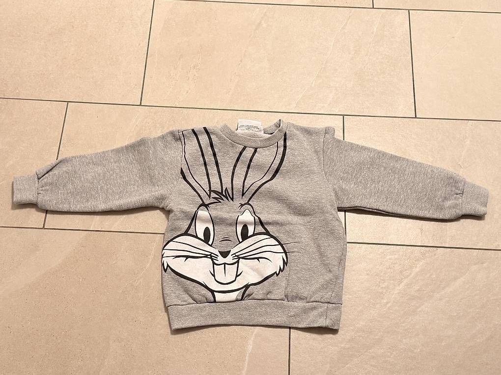 Maglioni & Felpe: Looney Tunes Pullover, 122, top Zustand – Usato da Wilen b. Wil venduto da carpediem25