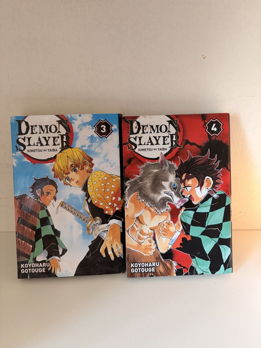 Comics: Manga Demon Slayer tomes 3 et 4. – Gebraucht aus Meyrin von bon_djk5