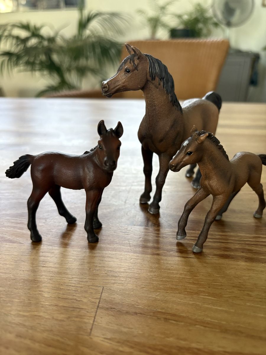 Schleich Jouets: Konvolut Schleich Pferde – D'occasion à Arlesheim par Eengelchen 4