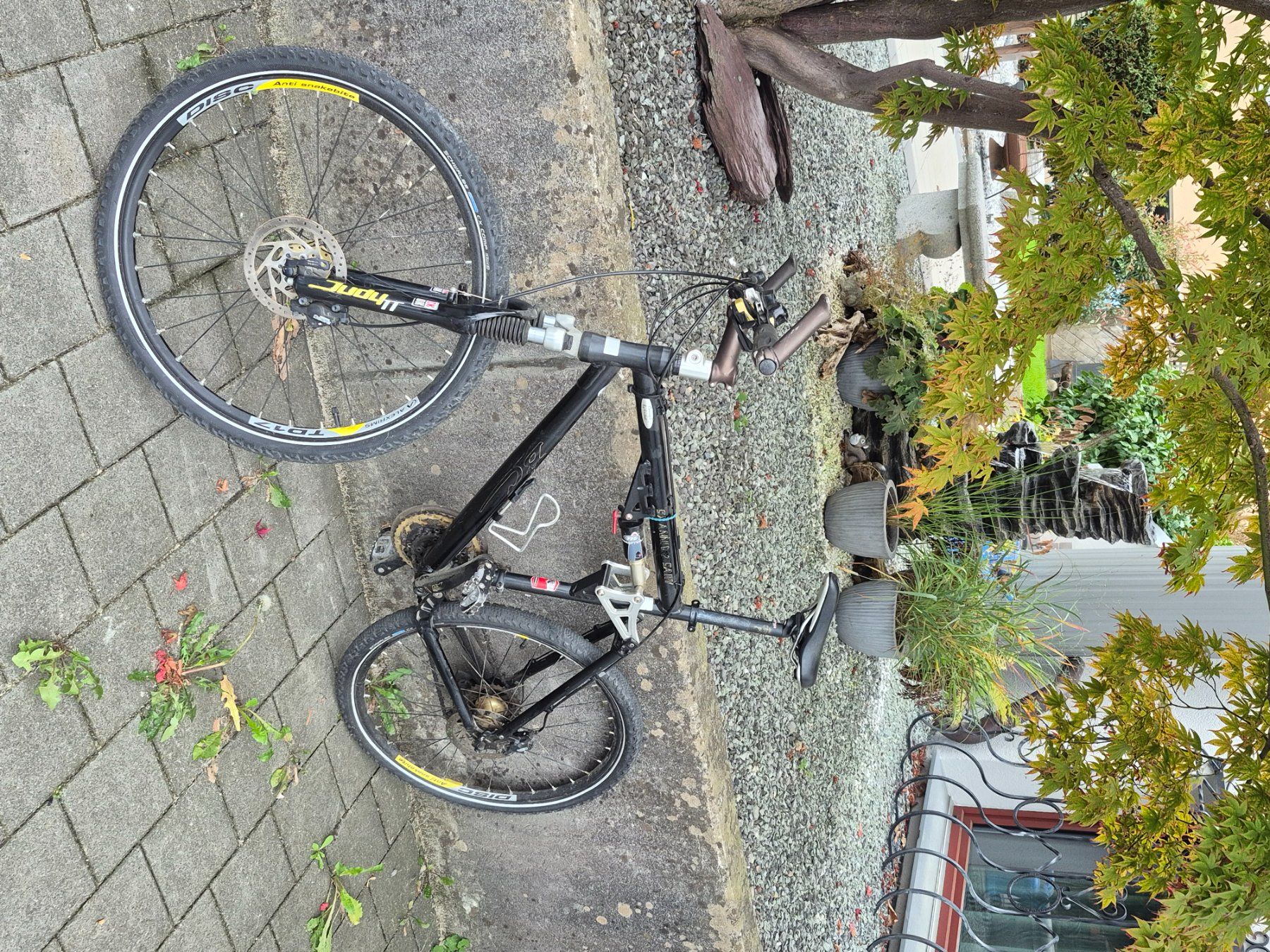 Velos: Mountenbike – Gebraucht aus Lachen SZ von pat_62tc