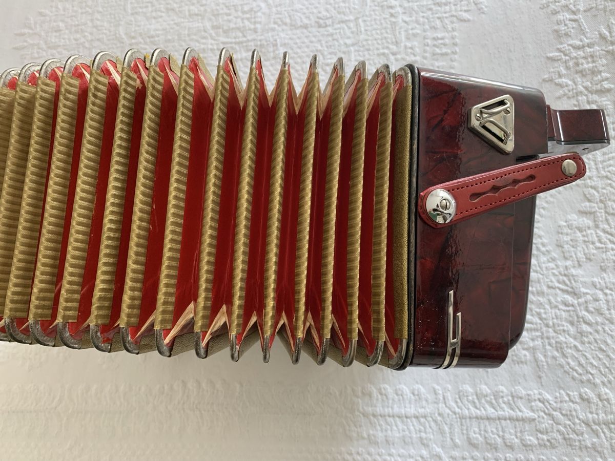 Hohner Strumenti musicali: Diatonische Handorgel / Concertina en Sol – Usato da Zürich venduto da Olimpied 3