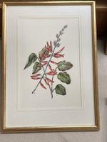 Zeichnung Korallenbaum Pflanze Goldrahmen Handmade Bild 