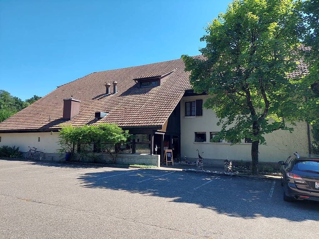 Automobili: Restaurant Liquidation Diverse Geräte / Mobiliar – Usato da Selzach venduto da Grievas