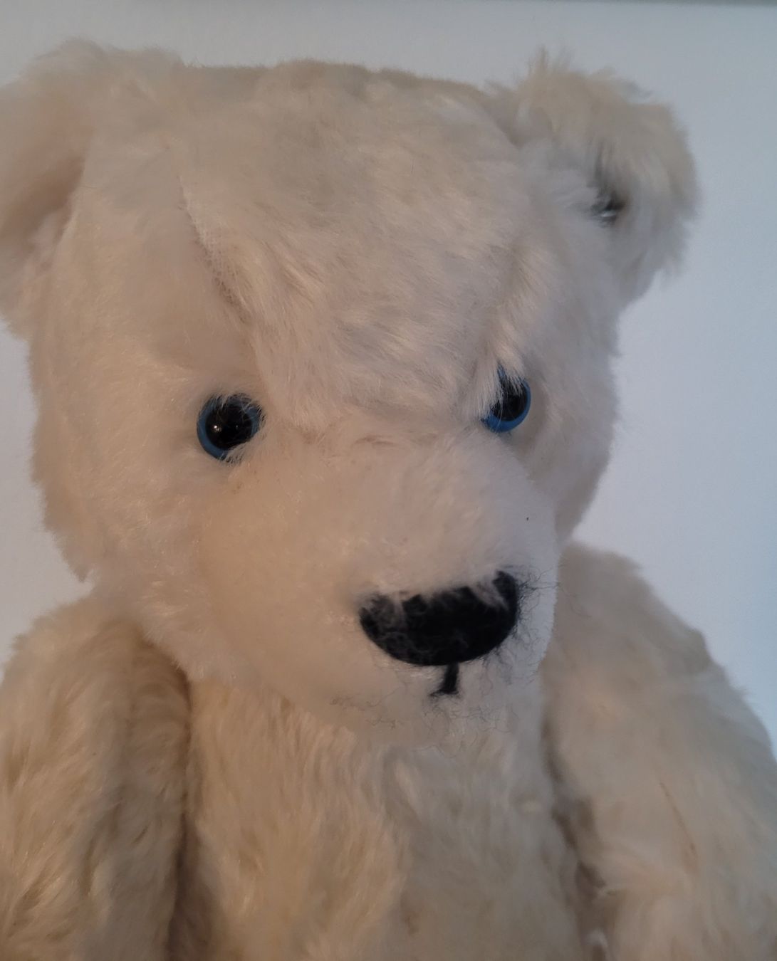 Jouets: Bär Teddy – D'occasion à Niederdorf par Daivlis 5