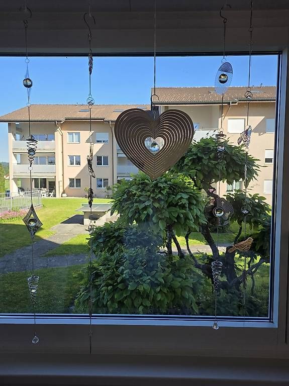 Tutte le decorazioni: Hübsche Lichtfänger 5 Stk. – Usato da Egliswil venduto da Belinda82 3