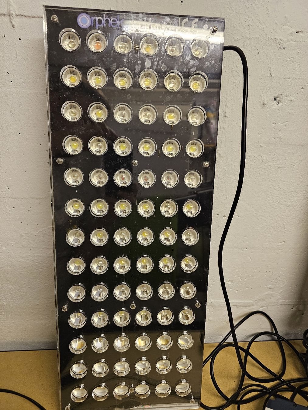 Lampade: Orphek Led Lampe – Usato da Samstagern venduto da FastLive 1