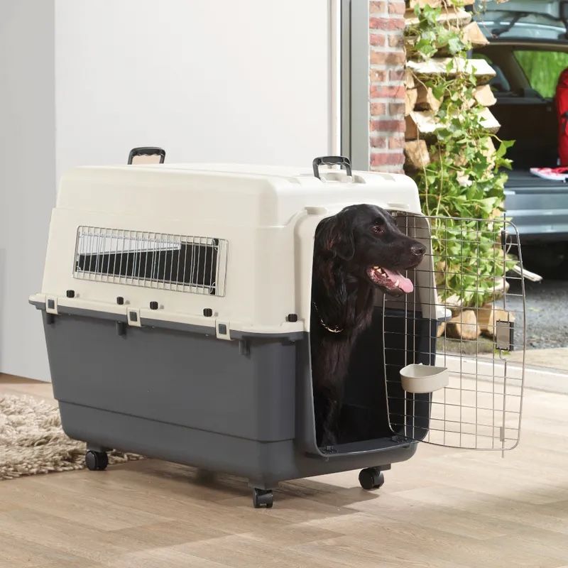 Gabbie, trasporto & Sicurezza: Transportbox für Hunde – Usato da Wolfwil venduto da aWEr4k 3