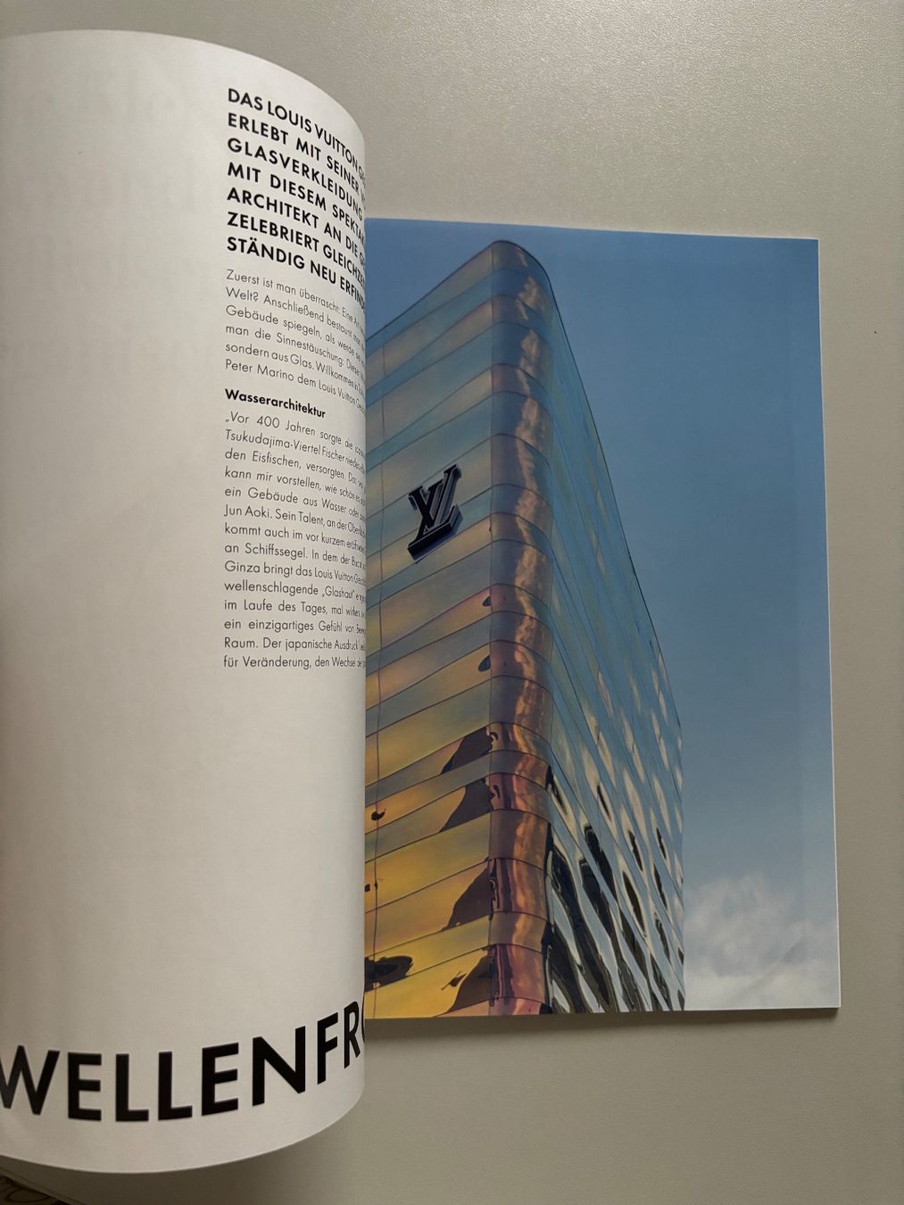 Libri: Louis Vuitton Katalog The book #12 – Nuovo (secondo la descrizione) da Hägendorf venduto da Moro143 4