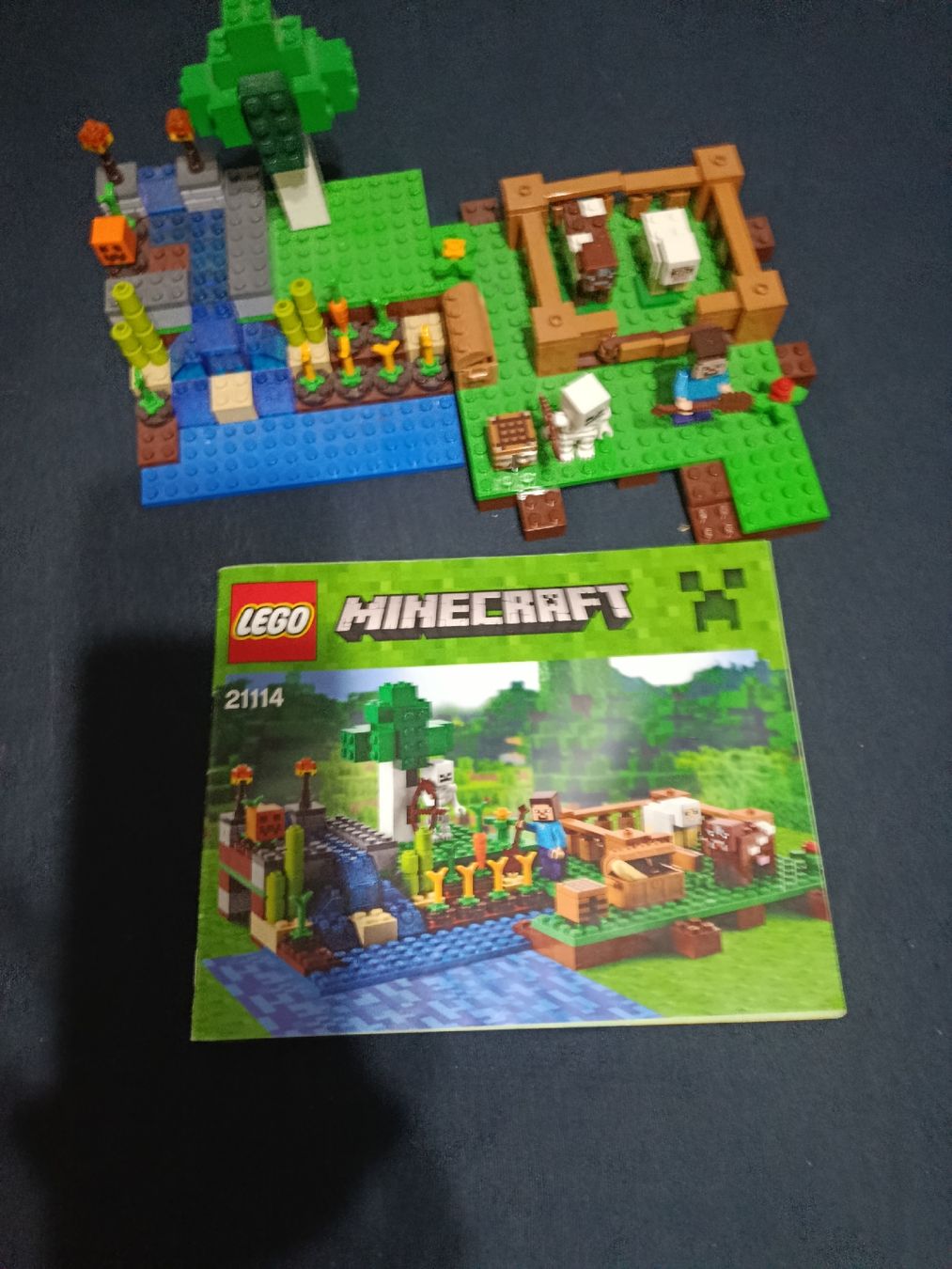 Lego Spielzeuge: Lego Minecraft 21114 – Gebraucht aus Buochs von ode_jrf2