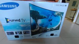 Samsung Curved TV 48 Zoll 