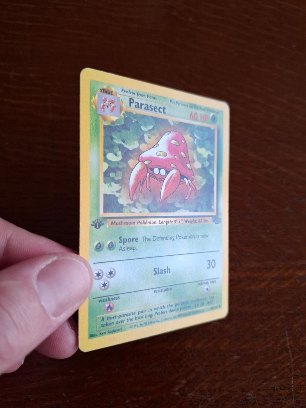 Pokémon Cartes à collectionner: Pokemon Parasect Jungle Set 1st edition 41/64 – D'occasion à Giornico par ale_lc8k 2
