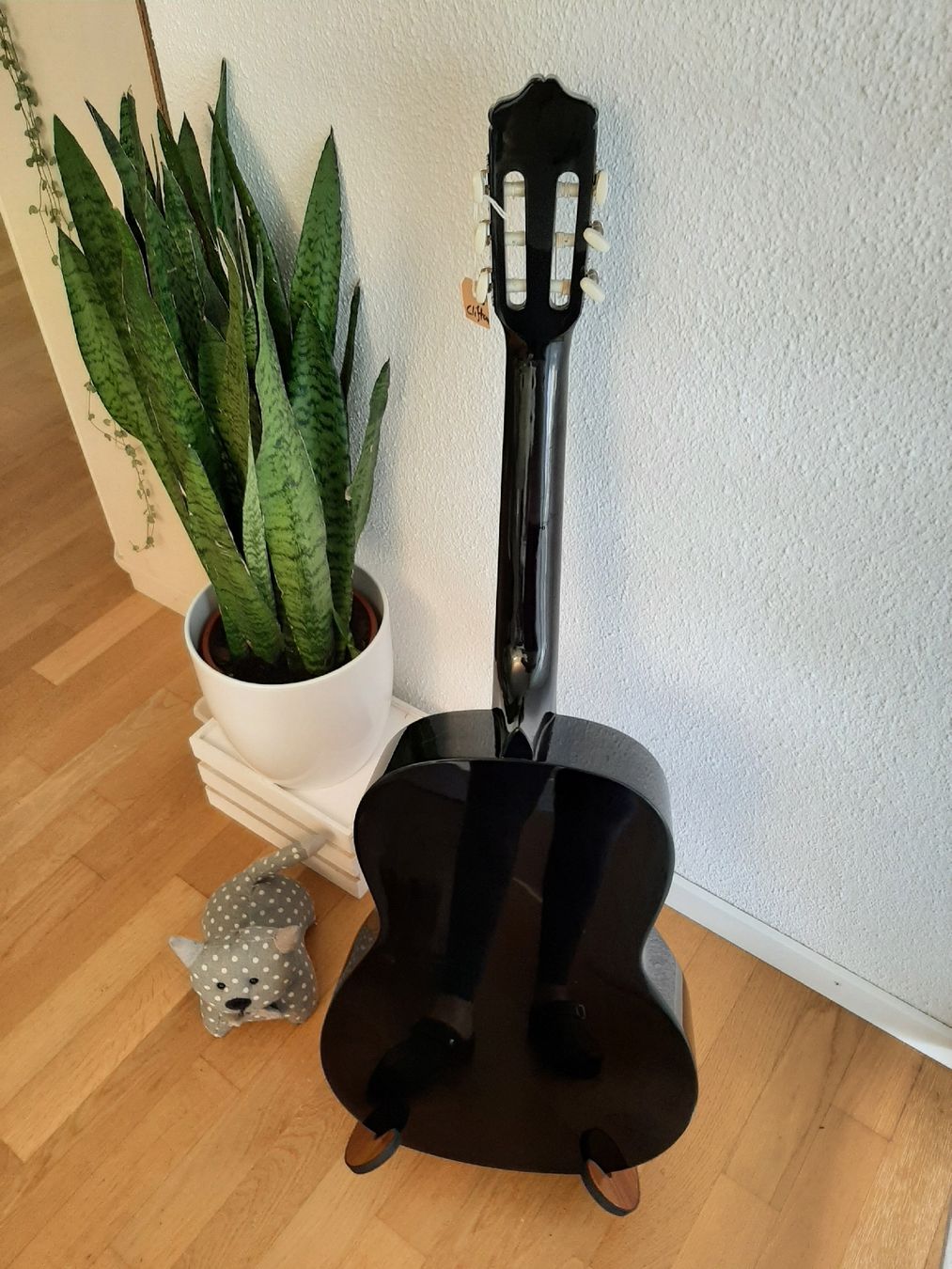 Strumenti musicali: Gitarre Clifton 4/4 – Nuovo (secondo la descrizione) da Hochdorf venduto da Amazone0 1
