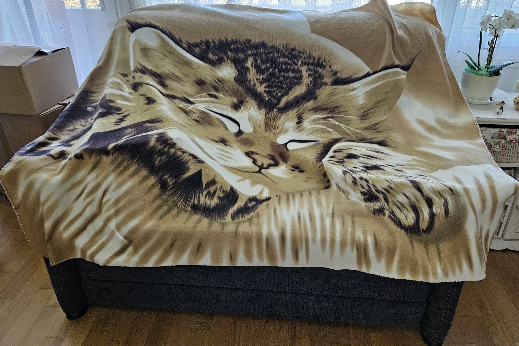Coperte: Kuschelige Fleecedecke mit Katzenmotiv – Nuovo (secondo la descrizione) da Muttenz venduto da Gepard23