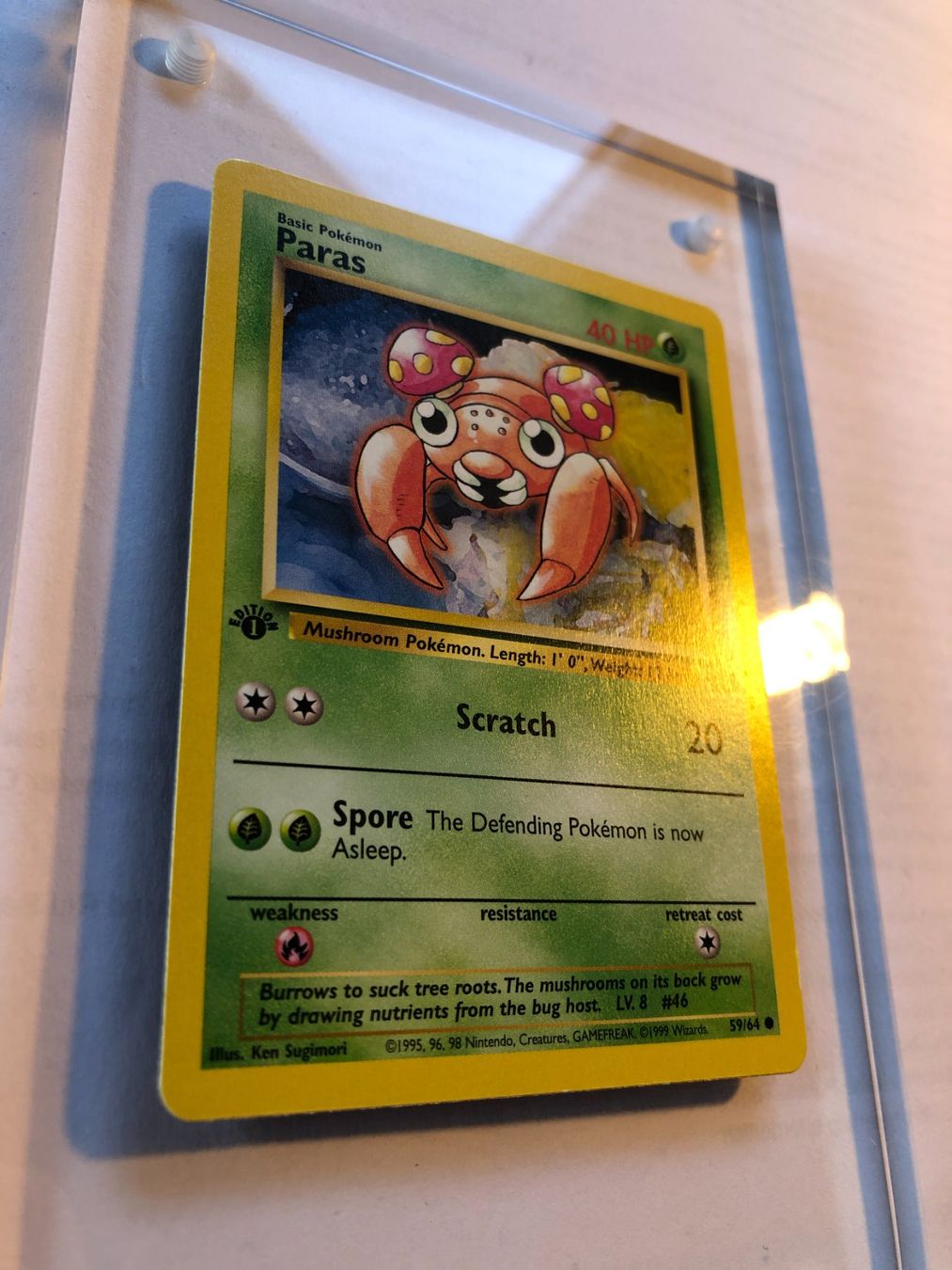 Sammelbilder & Trading cards: Paras 1st Jungle - LP - ab 1.- – Gebraucht aus Giubiasco von dan_pr8b 1