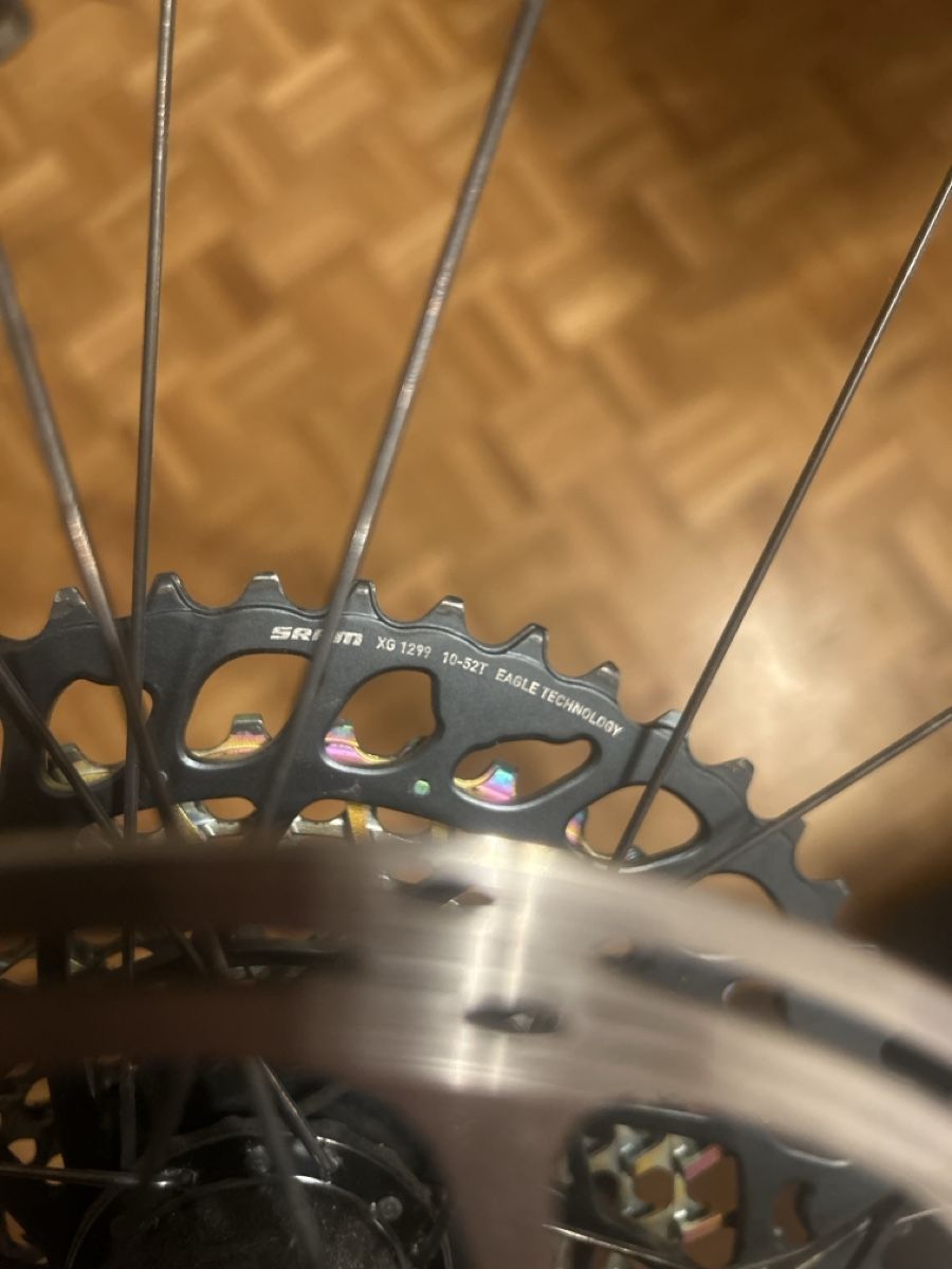 Pneus & Kompletträder: Paire roues Roval Traverse Carbone 29" – Neu (gemäss Beschreibung) aus Morges von bikeevasion 4