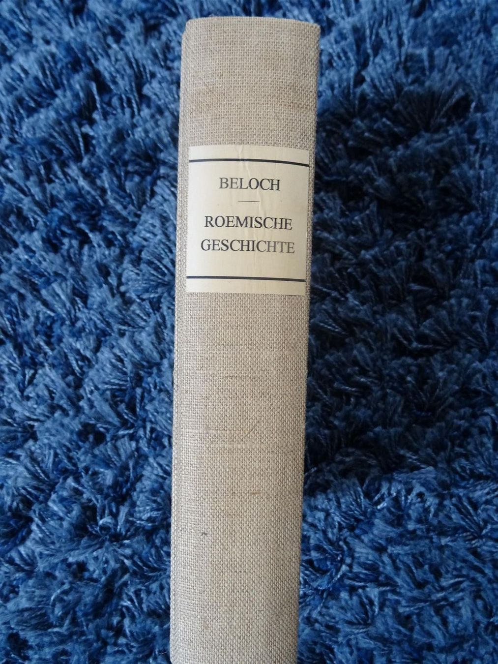 Libri: Römische Geschichte   Karl Julius Beloch – Usato da Lupfig venduto da JUTA09 7