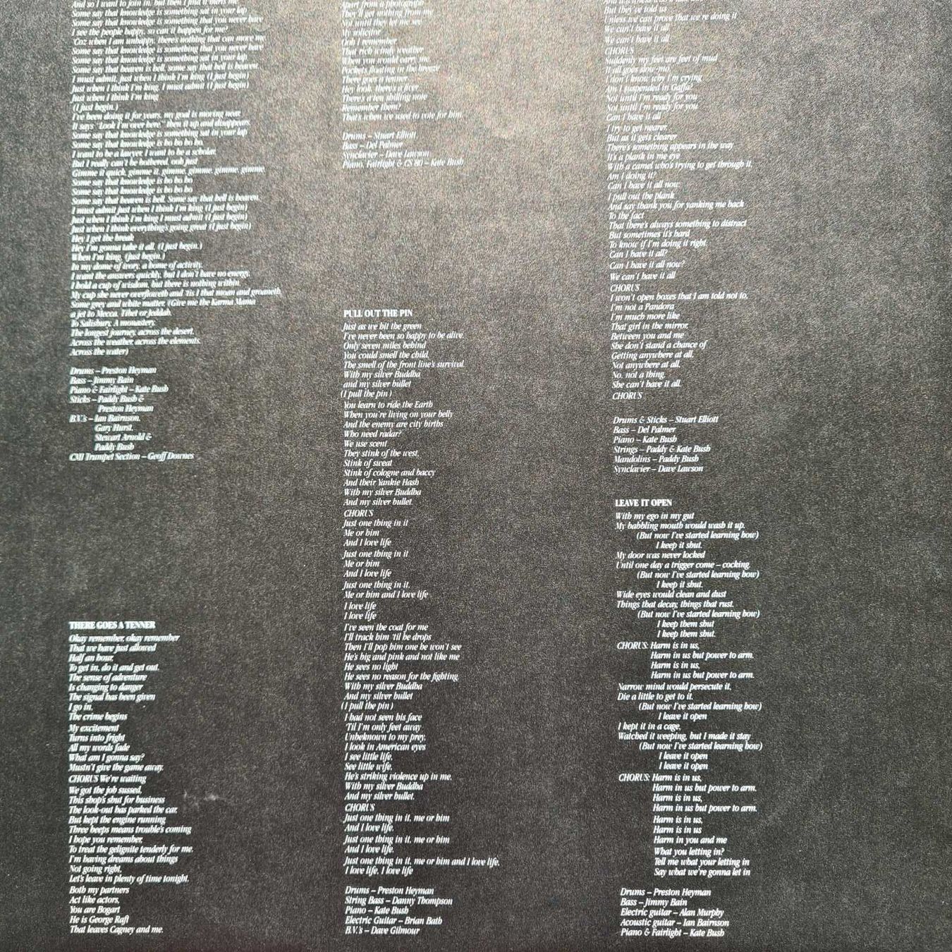 Schallplatten: LP - Kate Bush - The Dreaming – Gebraucht aus Basel von Solarbebop 3
