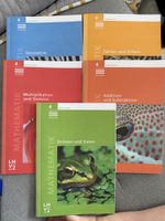 5 Arbeitshefte Mathematik Primarstufe 4 - neu
