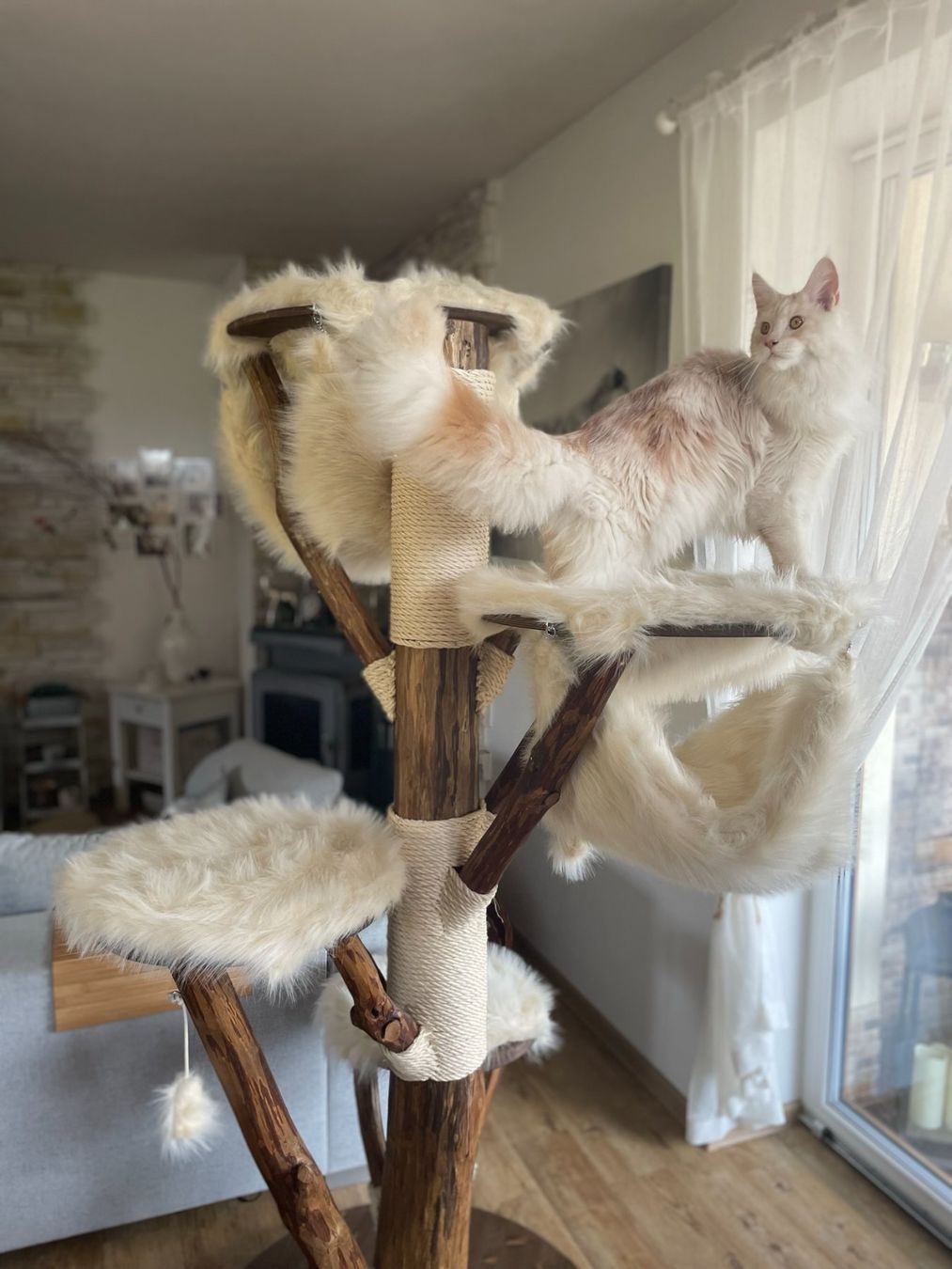 Tiragraffi: NATURHOLZ KATZENBAUM DELUXE TEFLON – Nuovo e nell'imballaggio originale da Eschenbach LU venduto da PETHOMES_AG 4