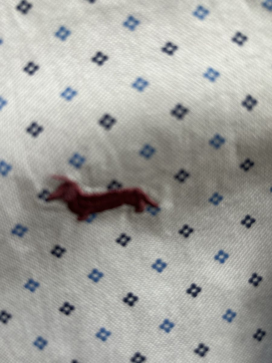 Camicie: Camicia Harmont Blaine taglia L – Nuovo (secondo la descrizione) da Locarno venduto da Matic04 5