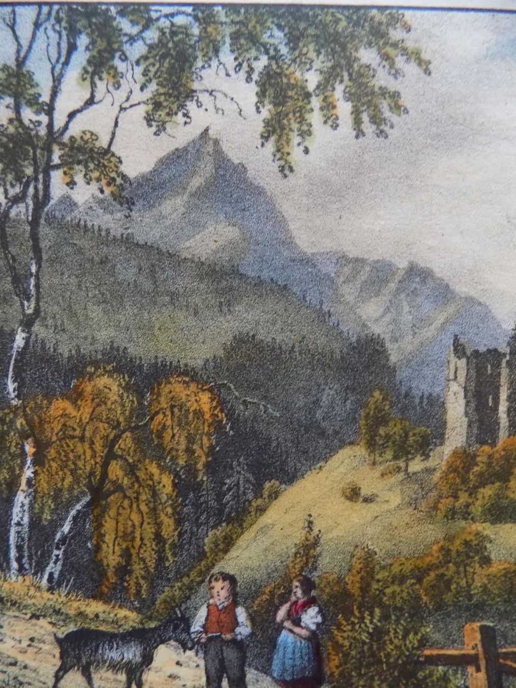 Stiche: Hoch Realta kolorierte Lithographie – Gebraucht aus Risch von Antikfee 5
