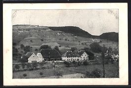 Effingen /AG, Ortsansicht aus der Vogels