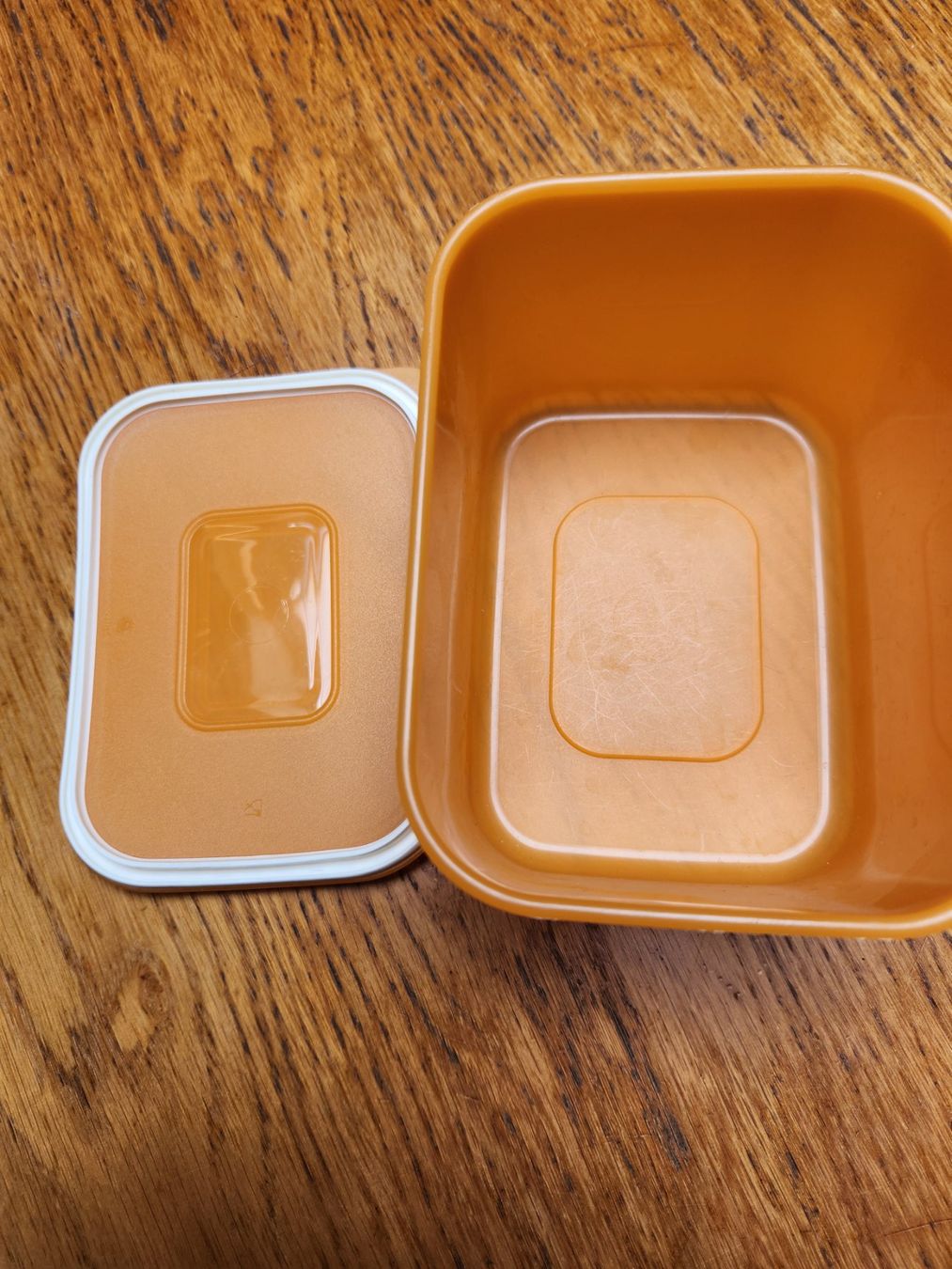 Tupperware Contenitori & Simili: Tupperware Junge Welle 1.3l – Usato da Gstaad venduto da Meiel2020 1