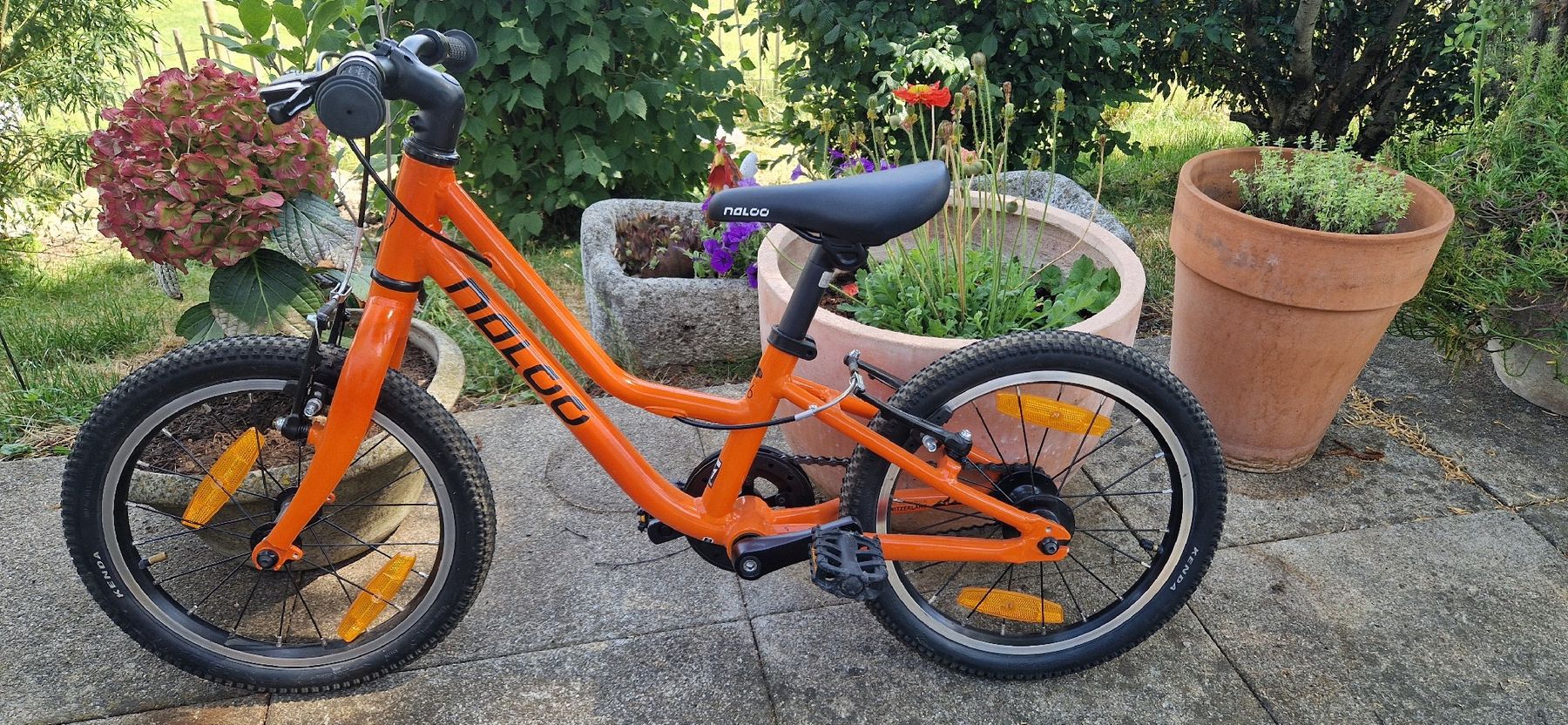 Naloo Biciclette: Naloo Chameleon 16 "  – Usato da Einsiedeln venduto da Shenayka